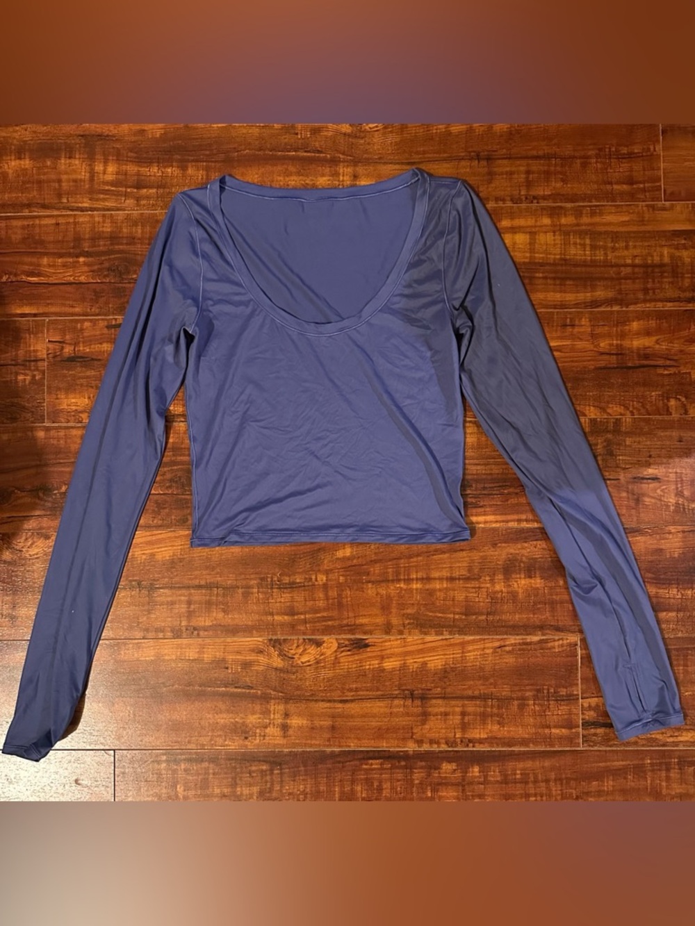 Aritzia Long Sleeve Scoop Crop Top - Periwinkle Blue & Nude Colors